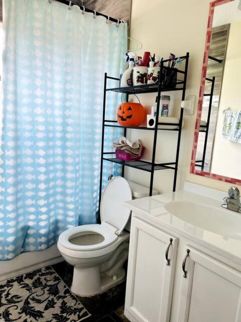 Room In Citrus Park And Carollwood, Close To The Airport & Downtown Tampa Bagian luar foto