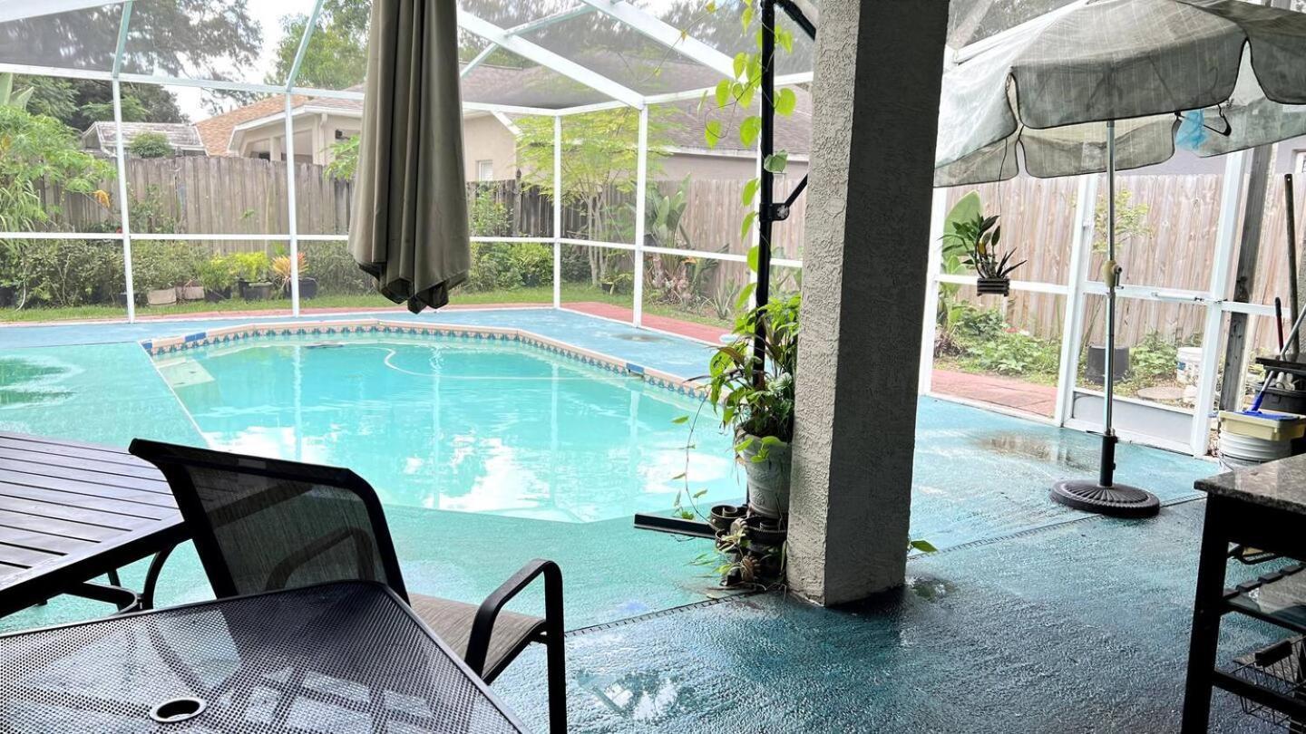 Room In Citrus Park And Carollwood, Close To The Airport & Downtown Tampa Bagian luar foto