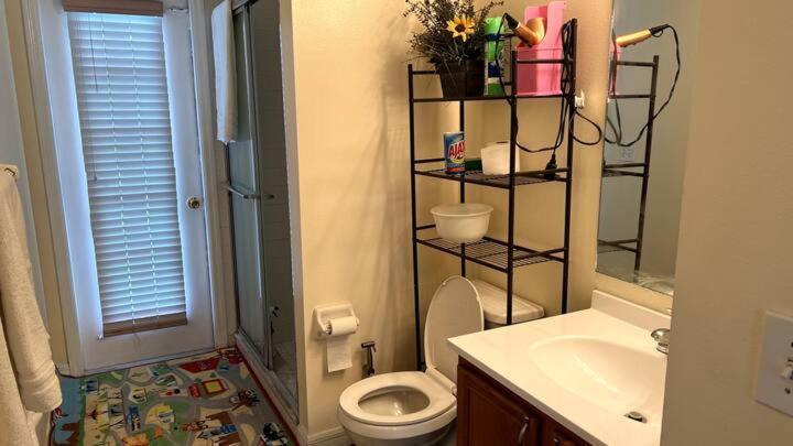 Room In Citrus Park And Carollwood, Close To The Airport & Downtown Tampa Bagian luar foto